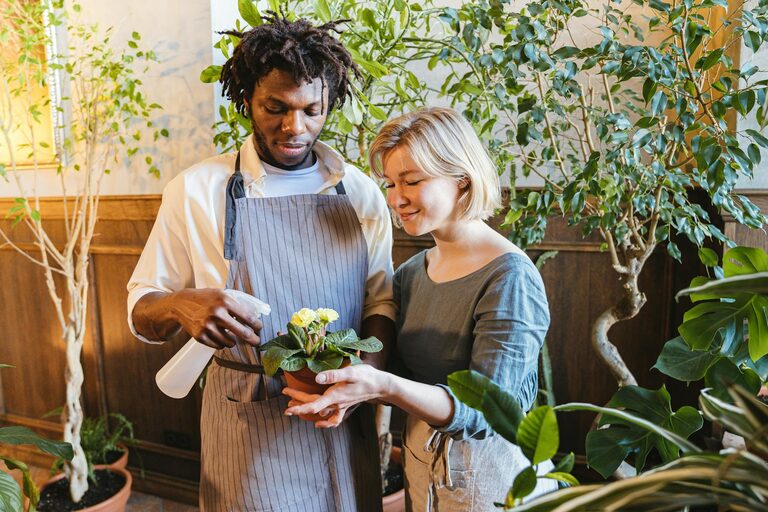 Tips for Keeping Houseplants Healthy and Thriving